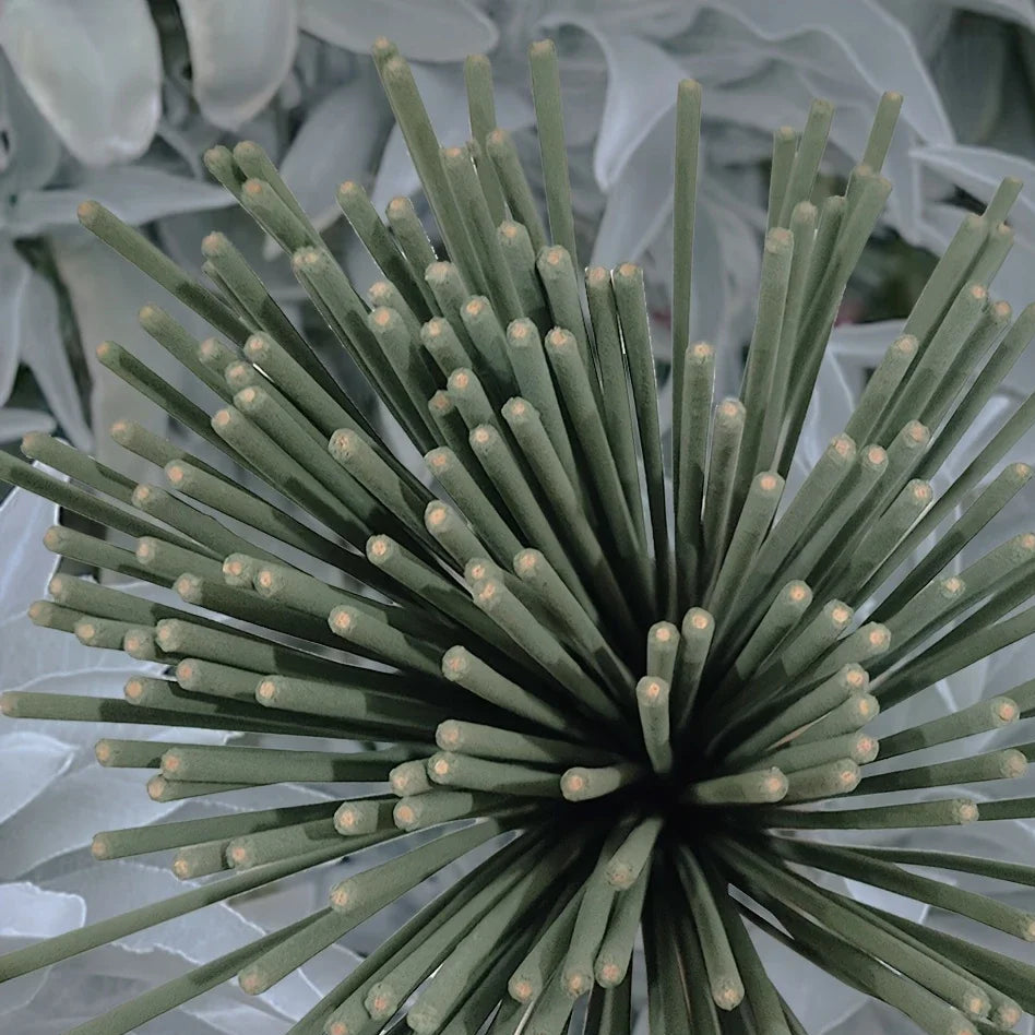 White Sage Incense Sticks for Meditation & Mindful Living